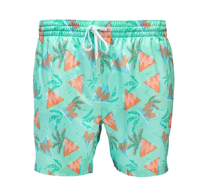 Chubbies® 90s Lined Swim Trunks