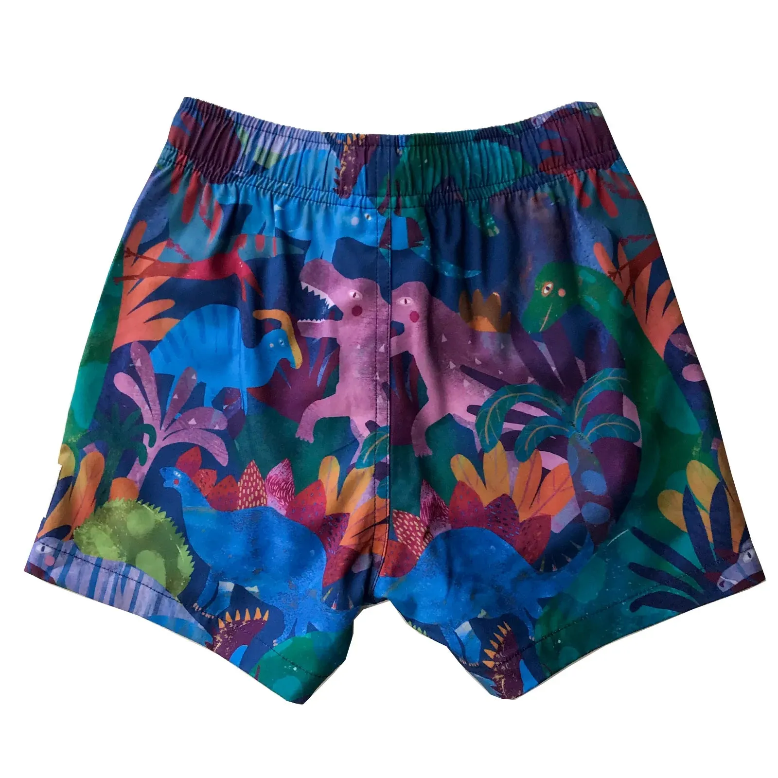 Kids Stretchy Trunks: Dinotopia