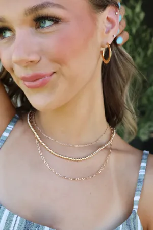 Subtle Charmer Earrings